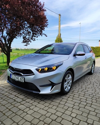 Kia Ceed cena 87500 przebieg: 42031, rok produkcji 2022 z Szczawnica małe 277